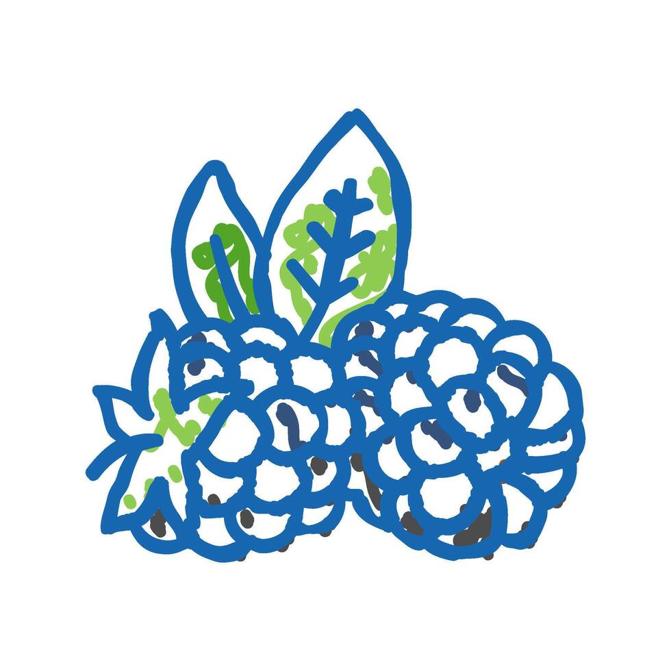 ripe blackberry leaf icon doodle illustration vector