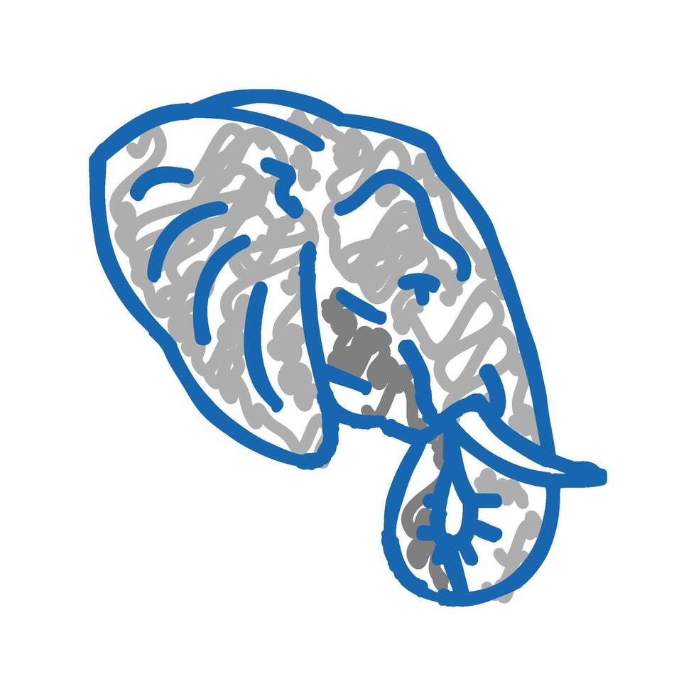elephant animal zoo icon doodle illustration vector