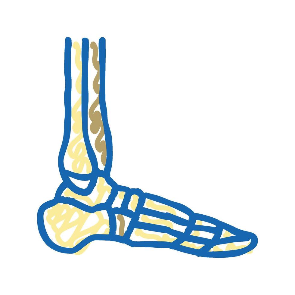 ankle bone icon doodle illustration vector