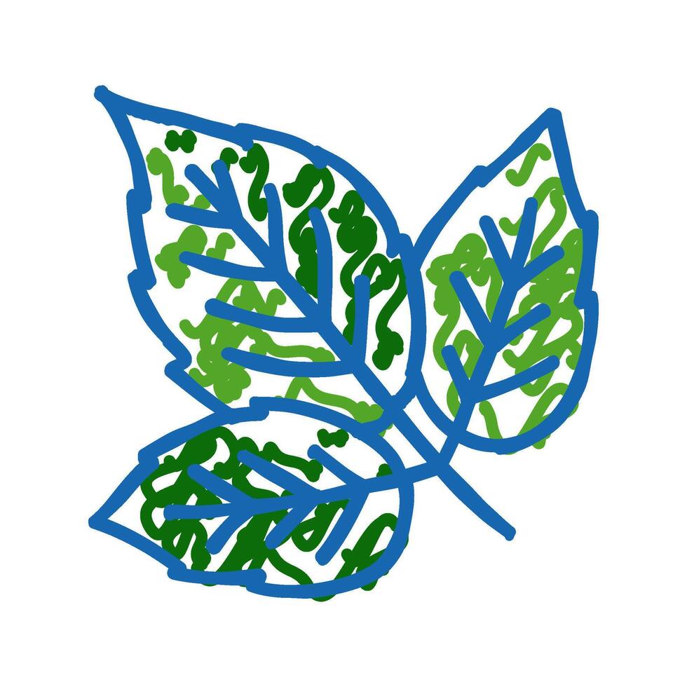 leaves raspberry fruit icon doodle illustration vector