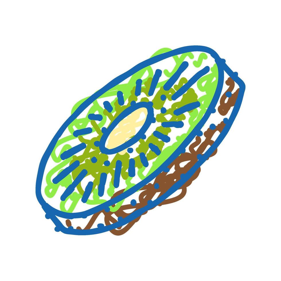 slice kiwi icon doodle illustration vector