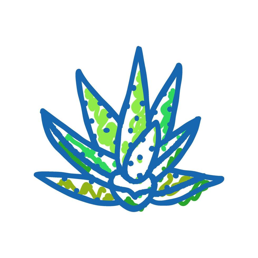 natural aloe vera icon doodle illustration vector