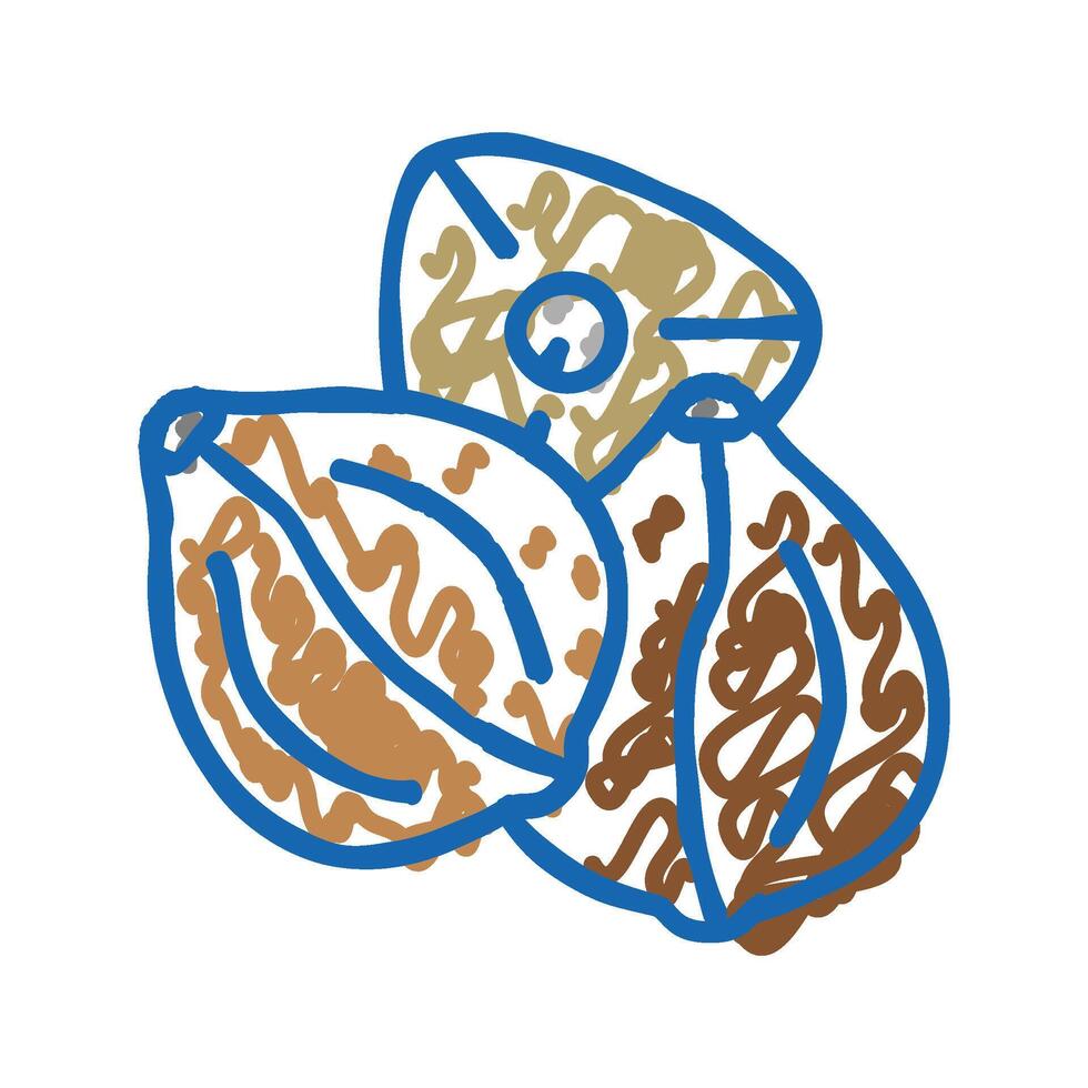 buckwheat seed icon doodle illustration vector