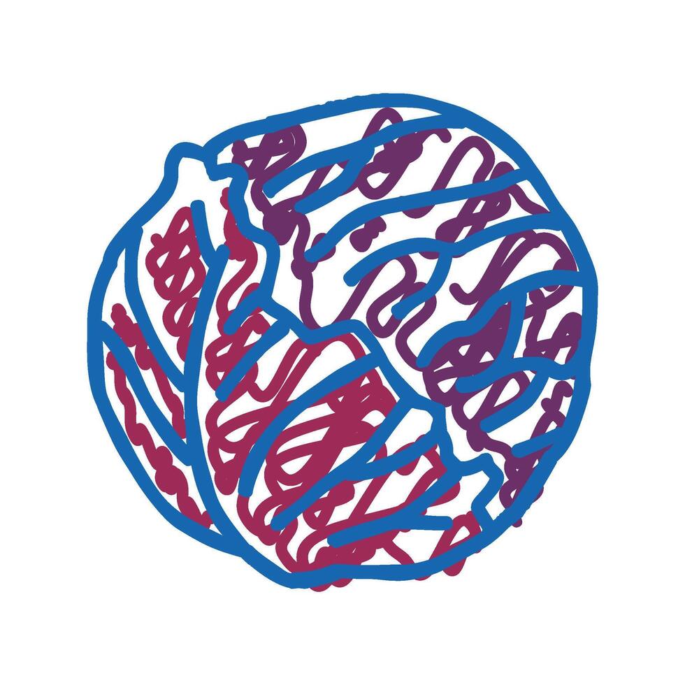 red cabbage icon doodle illustration vector