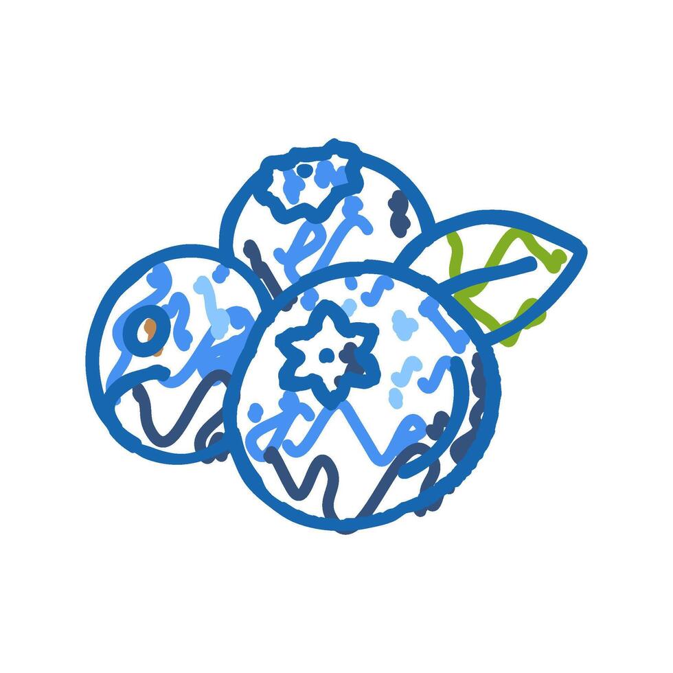 fresh blueberry leaf icon doodle illustration vector