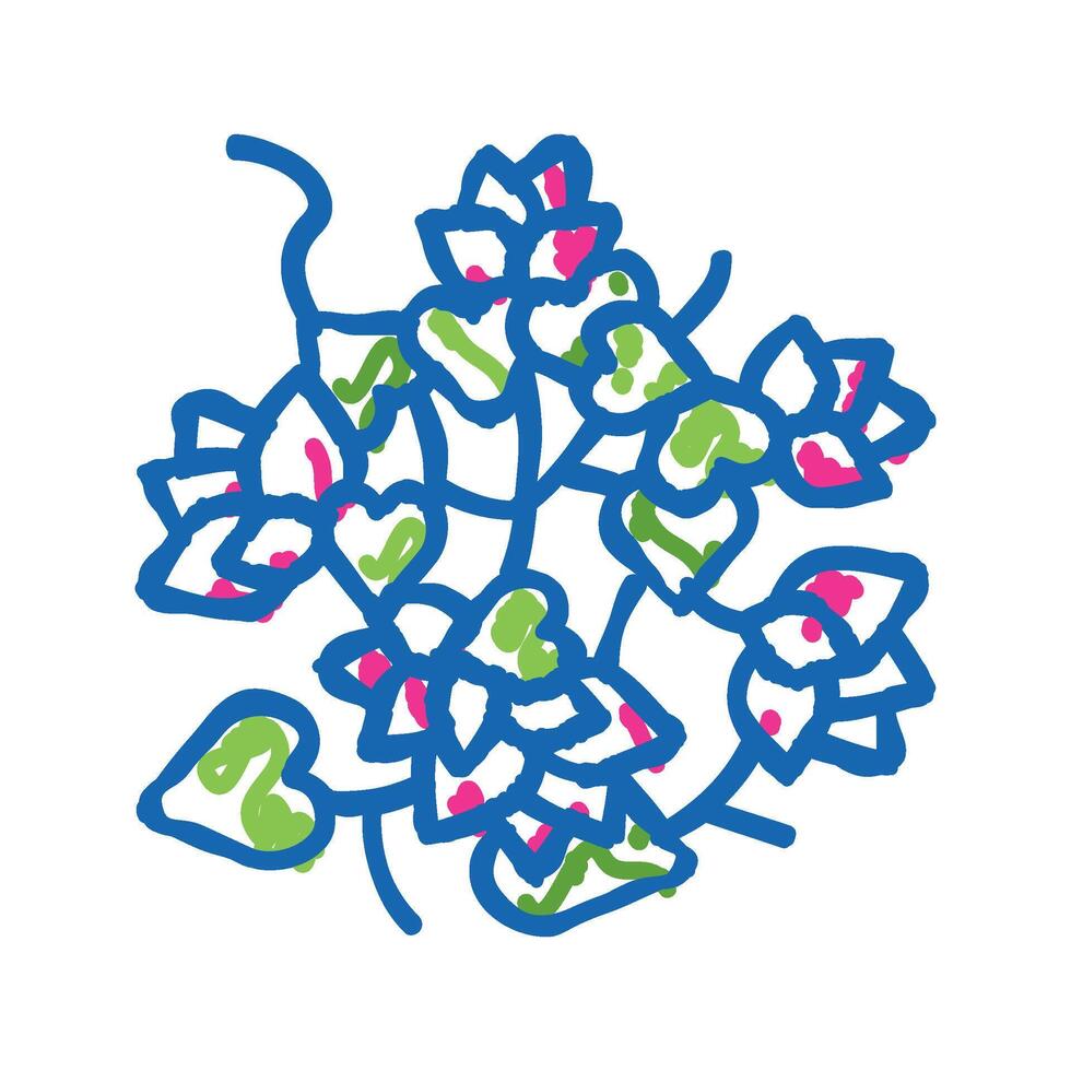 bougainvillea liana icon doodle illustration vector