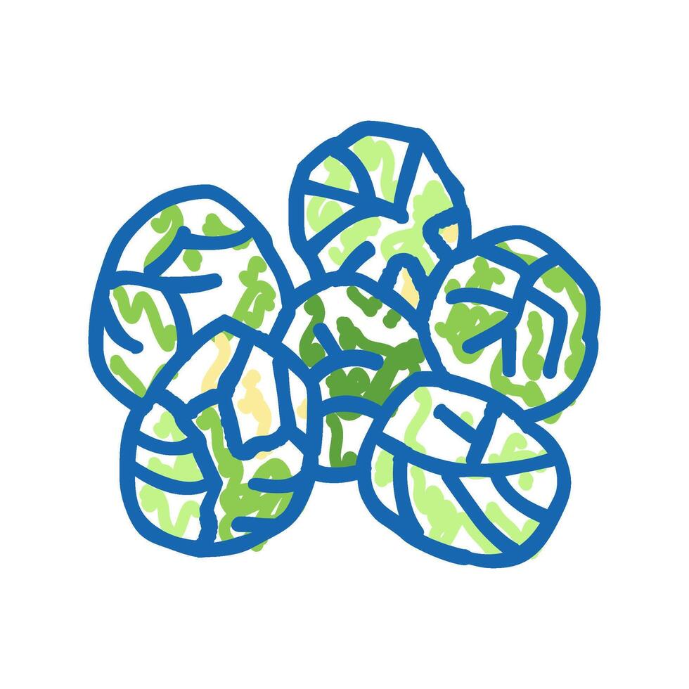 brussels cabbage icon doodle illustration vector