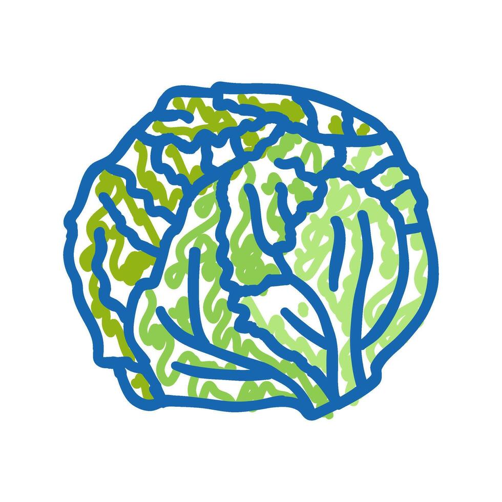 ceberg salad food icon doodle illustration vector