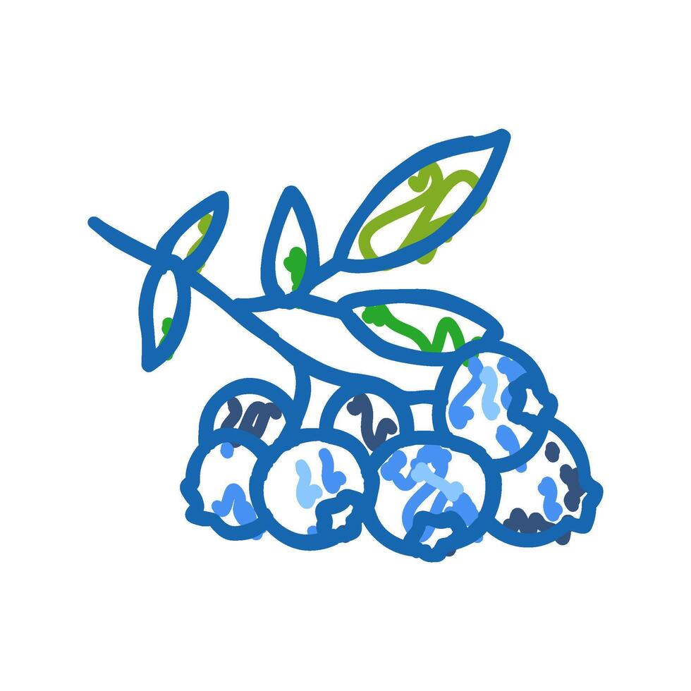 blueberry plant icon doodle illustration vector