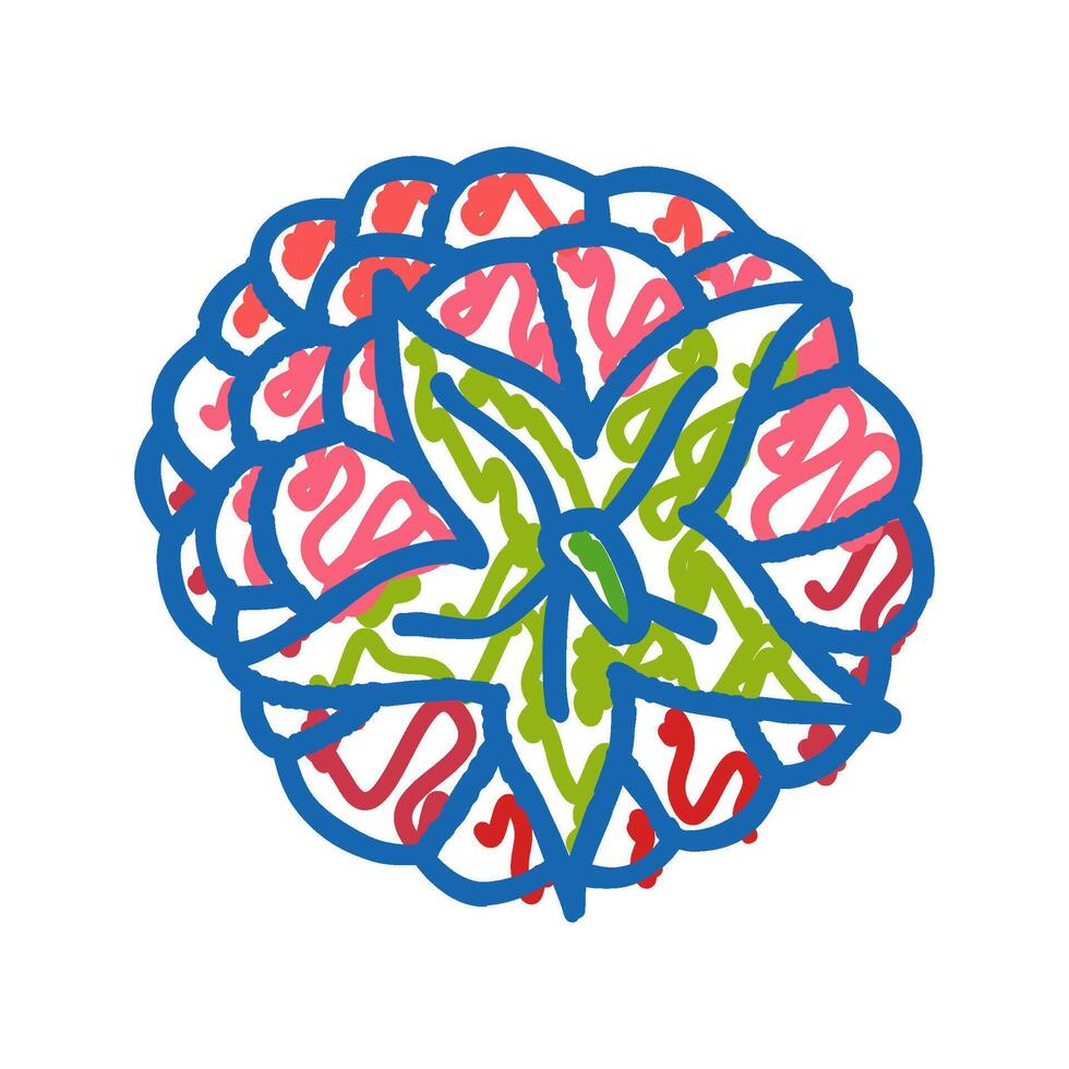 raspberry ripe delicious fruit icon doodle illustration vector