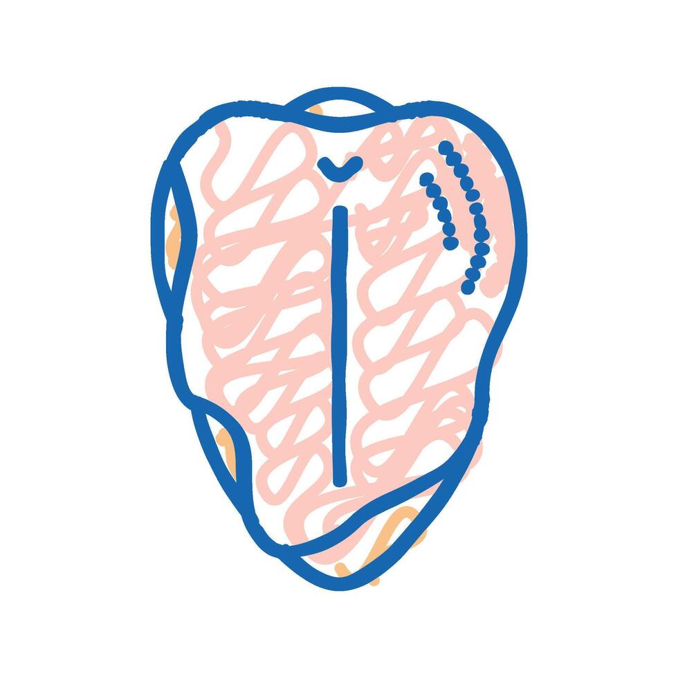 breast with ribs icon doodle illustration vector