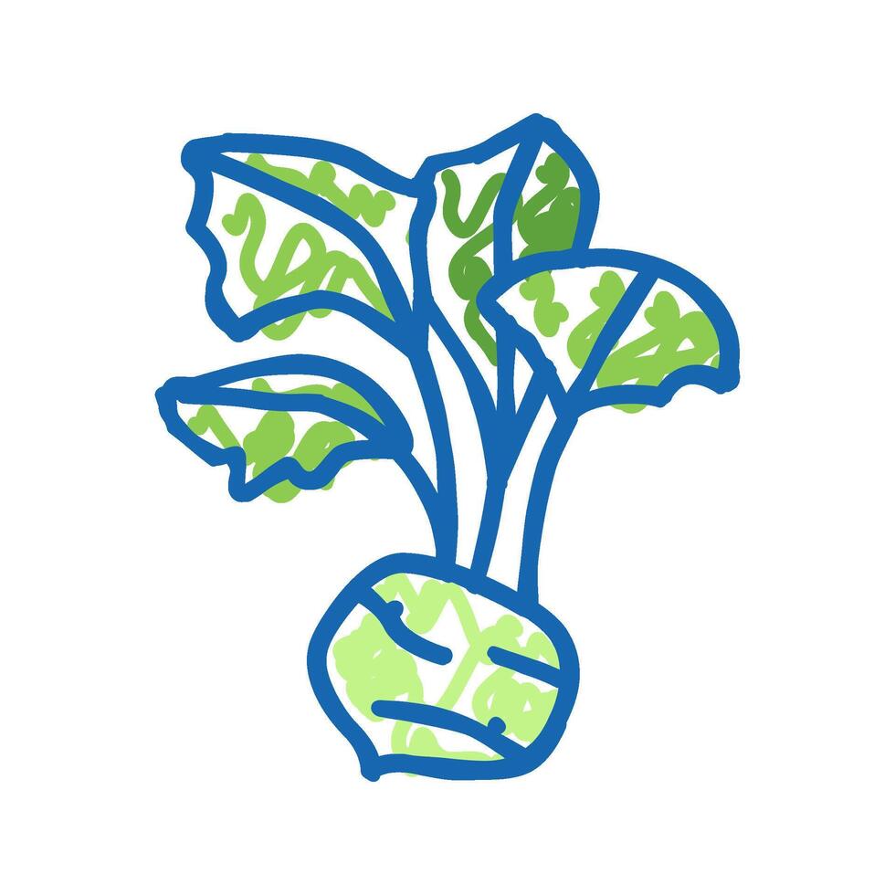 kohlrabi cabbage icon doodle illustration vector