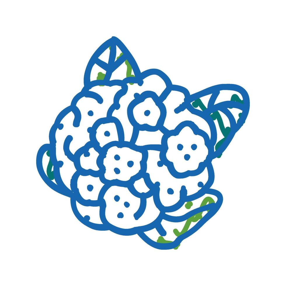 cauliflower cabbage icon doodle illustration vector
