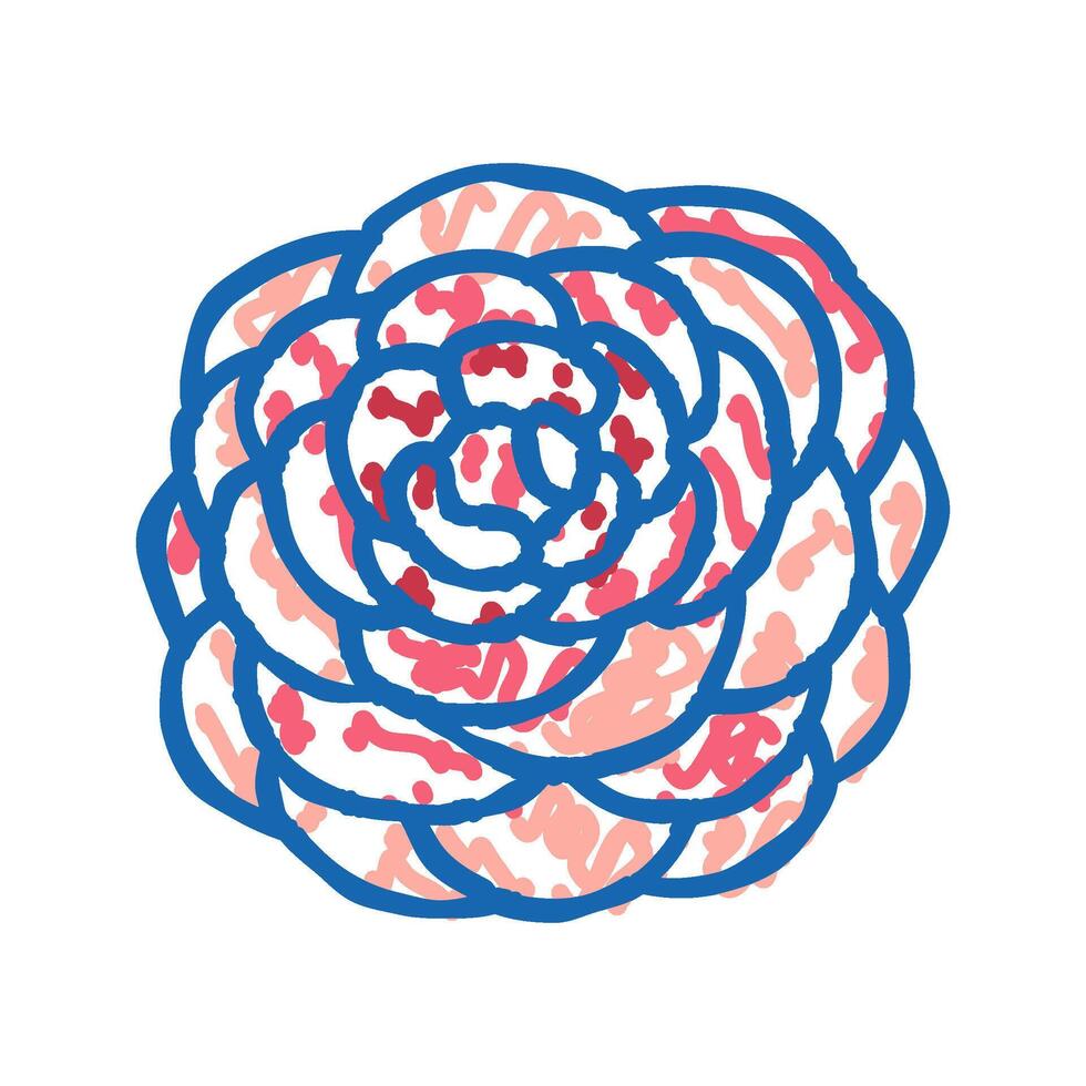 camellia flower spring icon doodle illustration vector