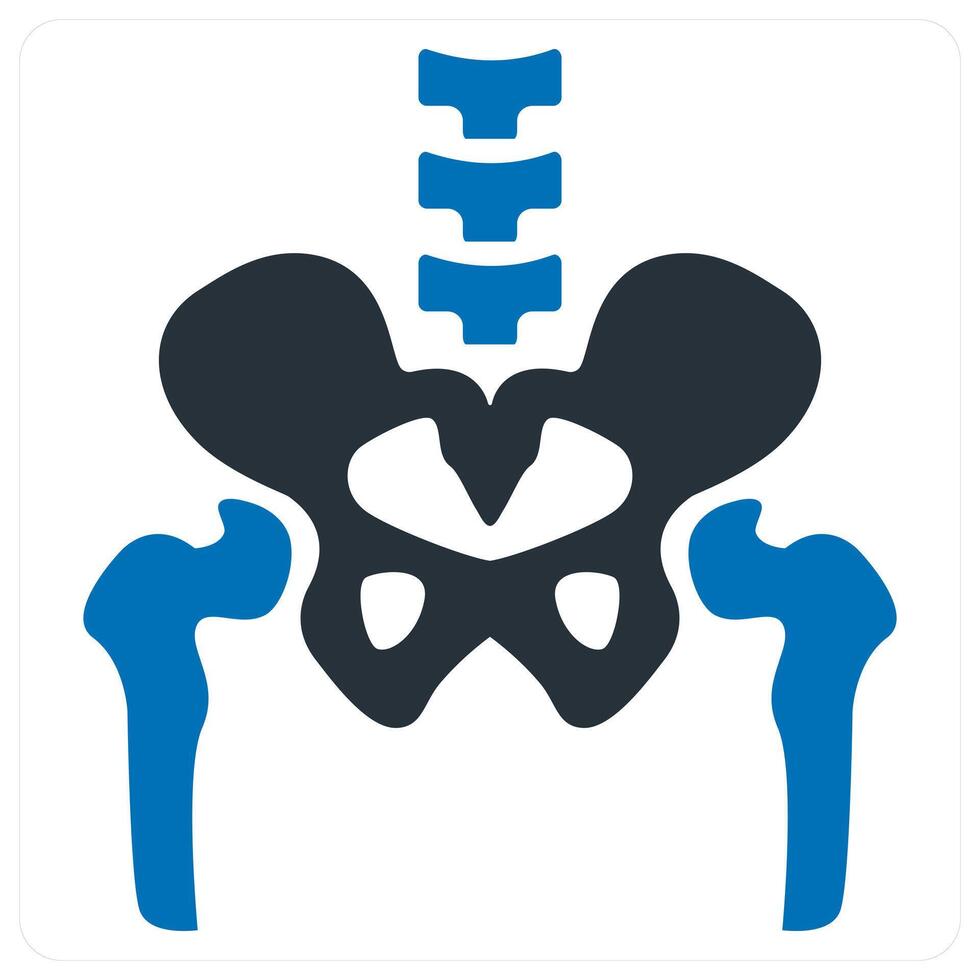 pelvic Bone and anatomy icon concept in blue color vector