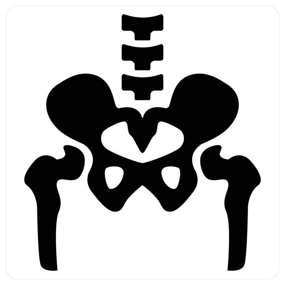 pelvic Bone and anatomy icon concept in black color vector