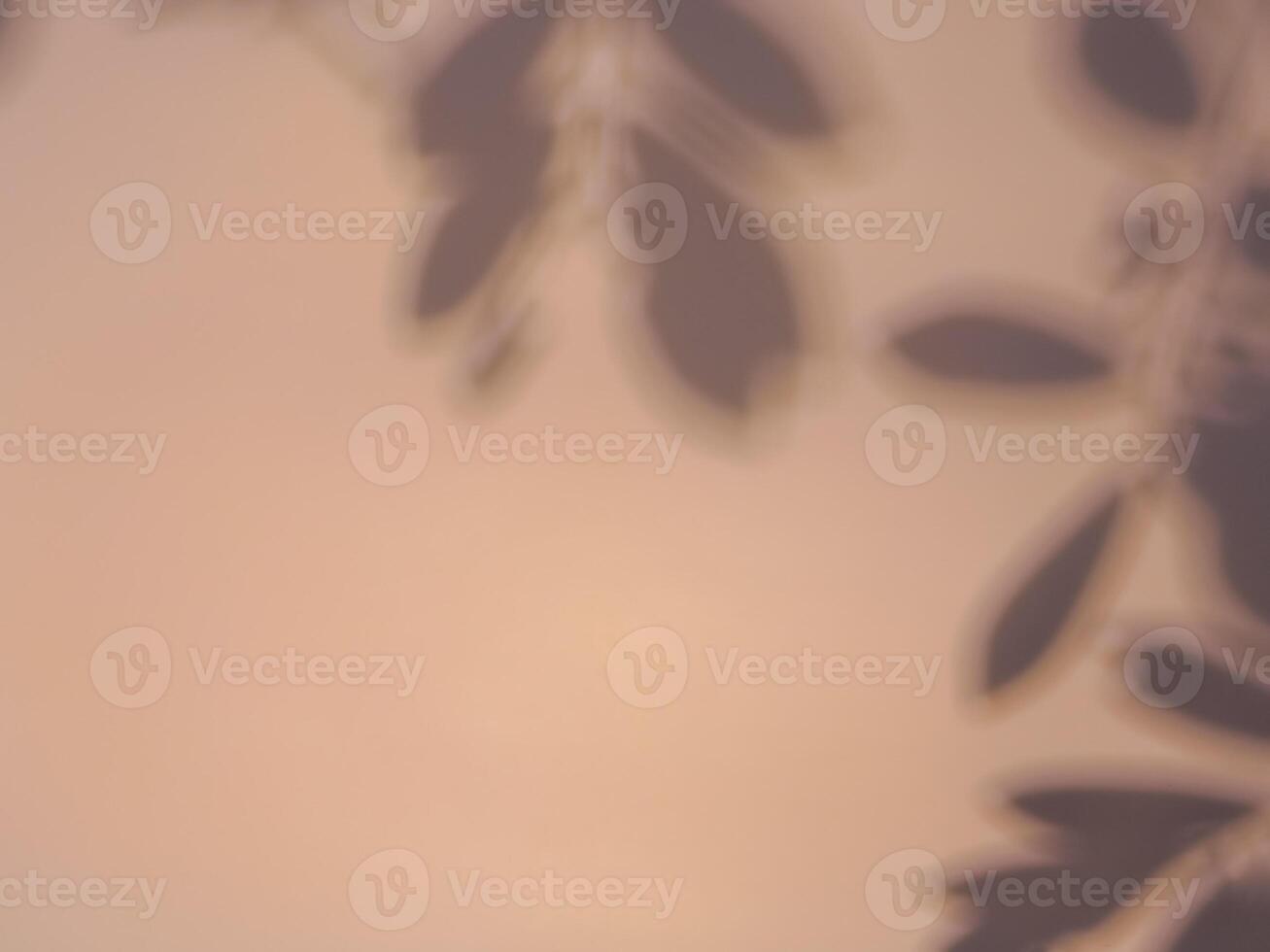 Leaf shadow on warm pastel background for abstract minimalist background. photo