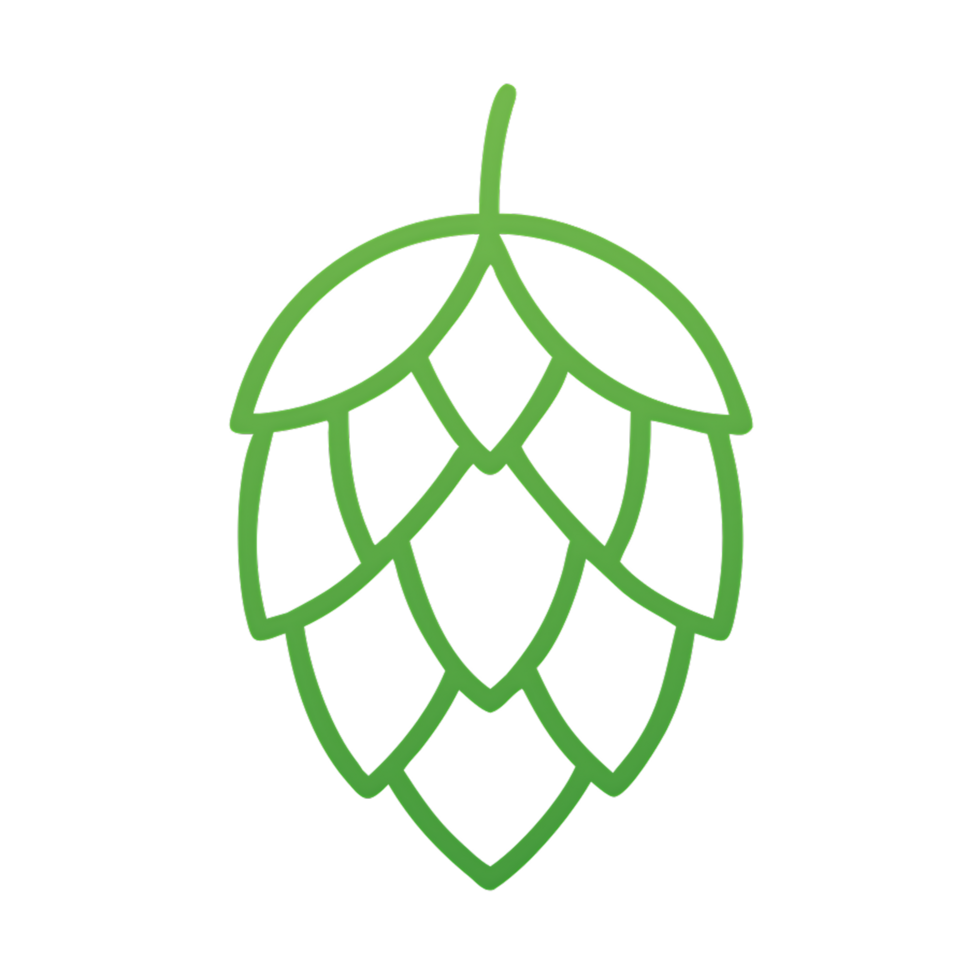 Green hop cone line art illustration. png