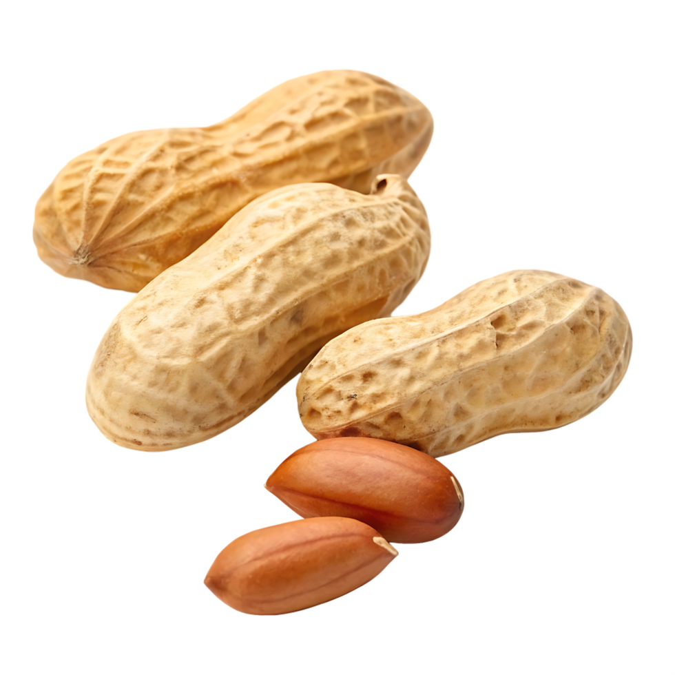 Close up of peanuts in shell and shelled peanuts. png