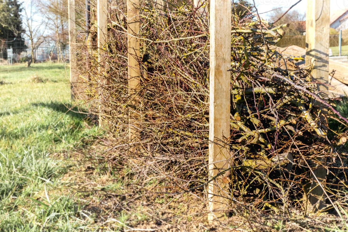 Dry hedge or Benjes hedge made of maintenance pruning branches, dead wood and roots, maintenance-free hedge, zero waste, upcycling, ecological, biotope welcoming to wildlife, house photo