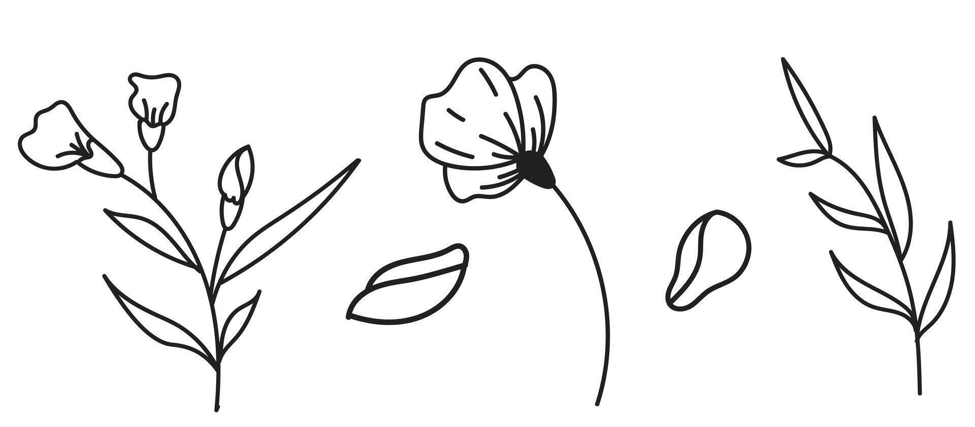 Minimalist floral line art illustration for decoration or design vector