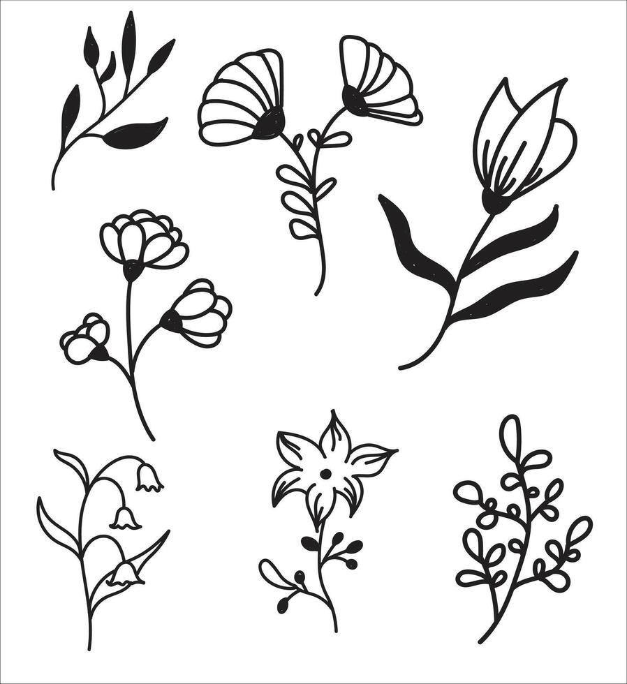 Elegant floral doodles and hand-drawn flower illustrations for designs vector