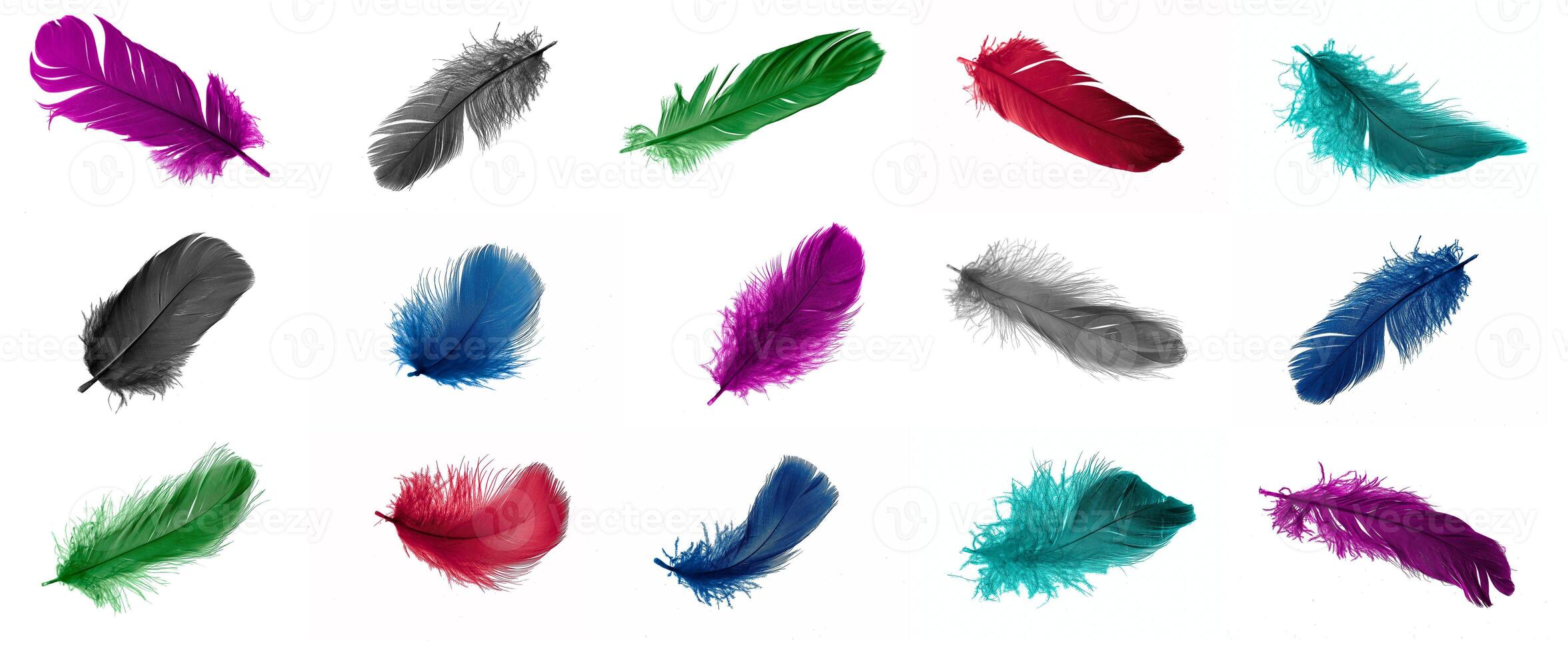 colorful feathers of a goose on a white isolated background photo