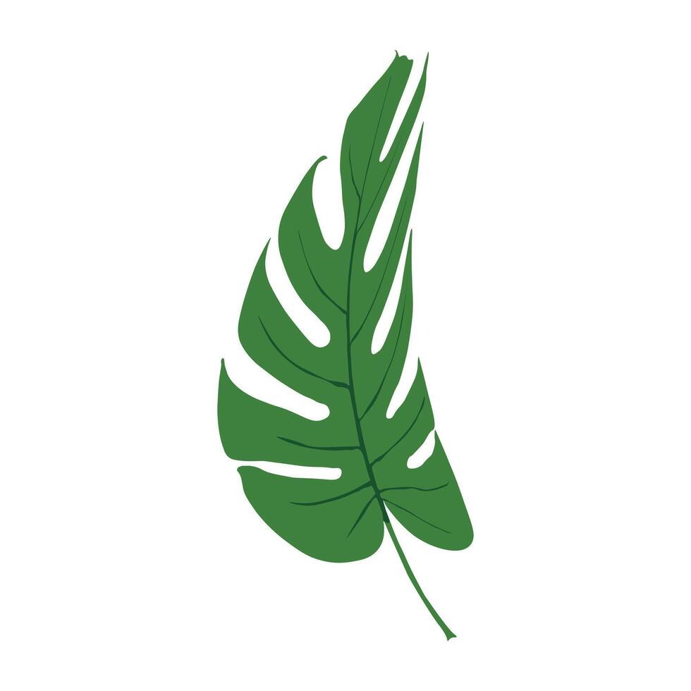 green leaf with water drops vector