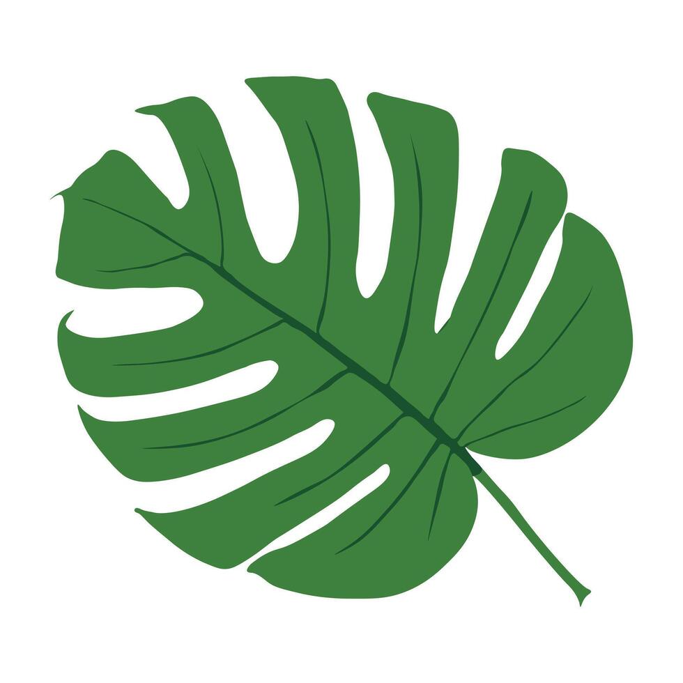 green leaf with water drops background vector