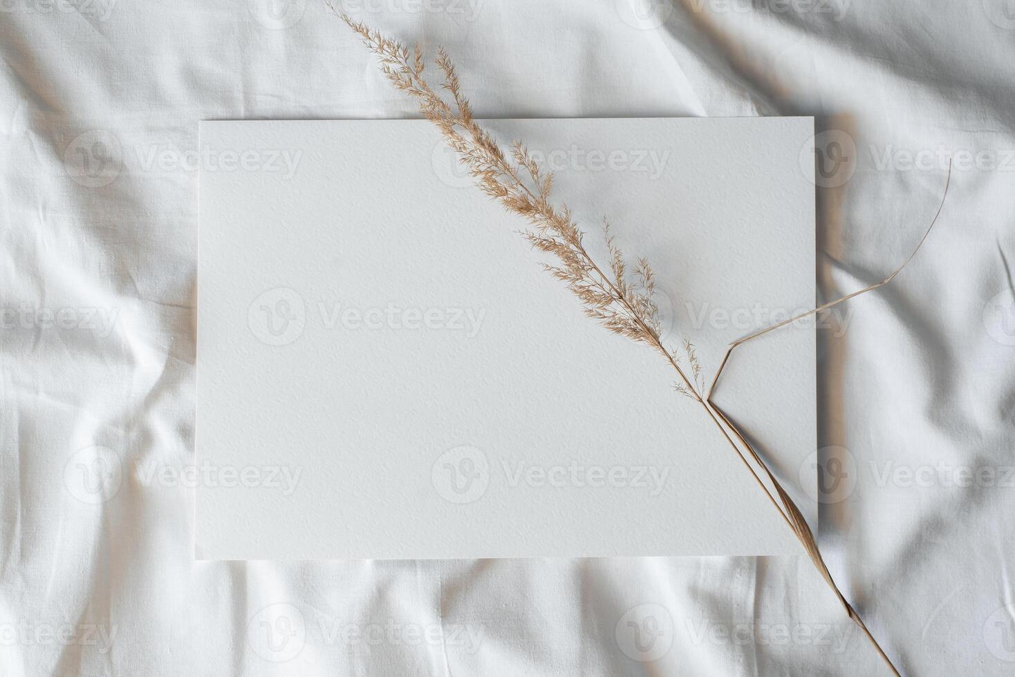 Blank sheet of paper and dry field spikelets, top view. Layout with copy space photo