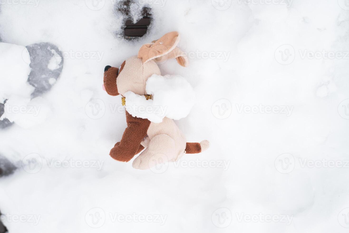 Discarded plush toy.Children's toy dog lying in the snow outside, top view photo
