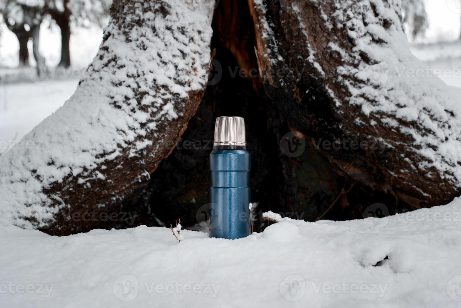 Winter camping in the forest concept. Thermos standing on the background of an old tree. Travel Vacuum Flask photo