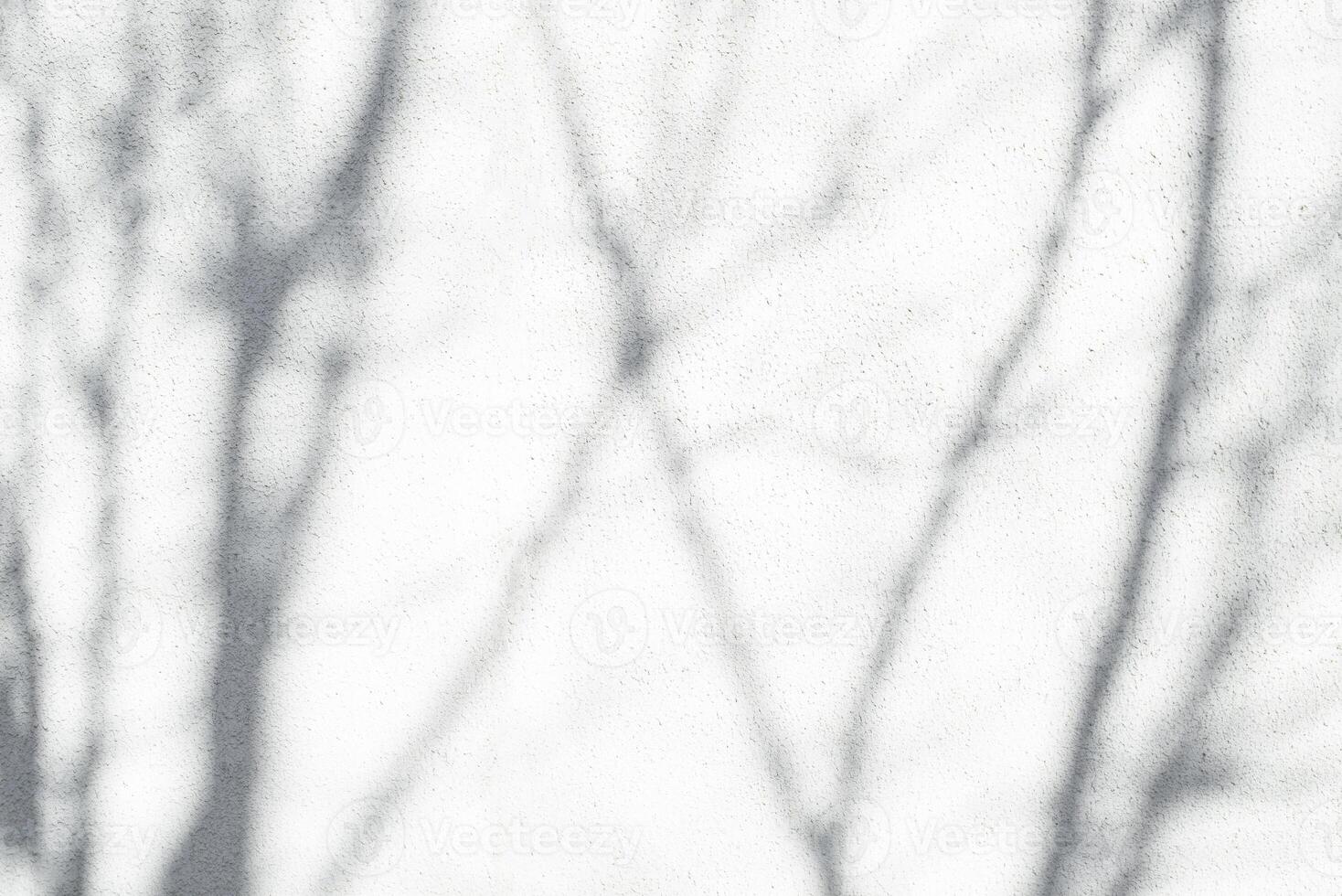 Light concrete wall with tree shadow. Textured background with place for text. Abstract shadows on a sunny day photo