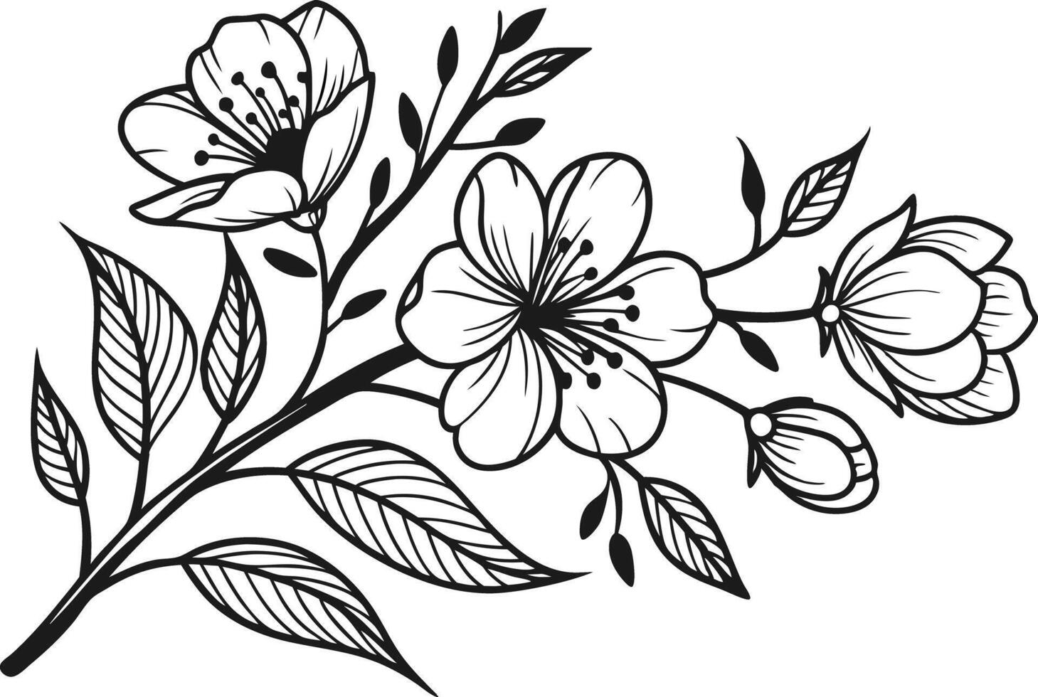 Creative Colorful Flower Graphics for Art vector
