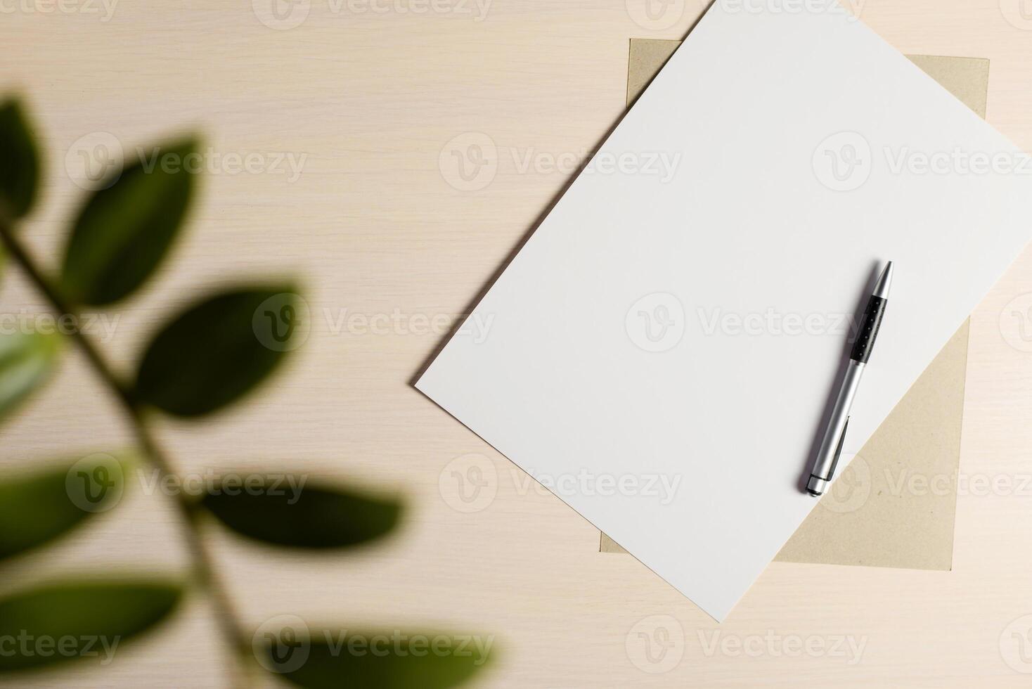 Blank sheet of paper, cardboard and pen on the writing table. Flatlay, layout. Part of house plant in the frame. Copy space photo