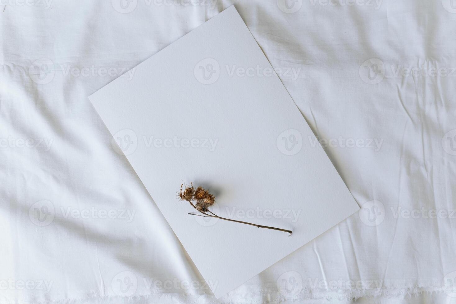 White sheet of watercolor paper and dry prickly wild flower on white cloth, top view. Mockup, copy space. photo