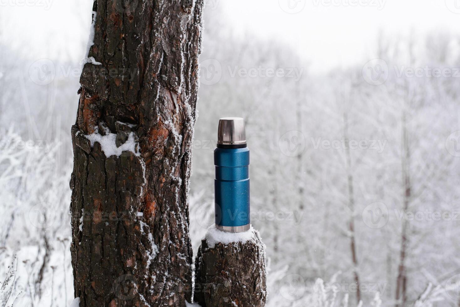 Thermos in the winter forest. Camping vacuum flask standing on stump next to a pine tree photo