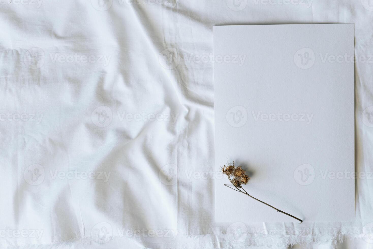 Blank sheet of textured paper and prickly dry flower, flat lay. Mockup with copy space photo