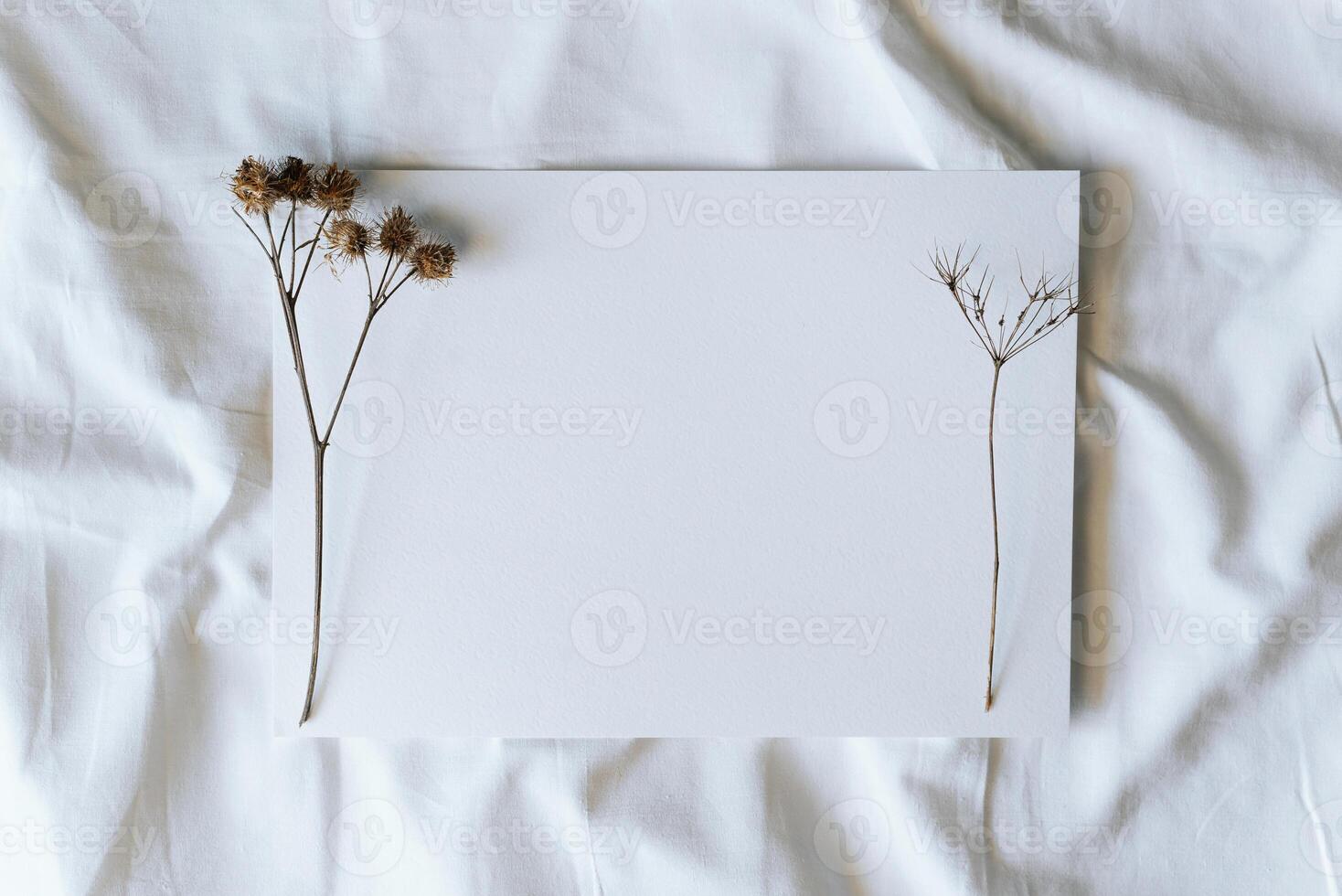 Blank sheet of textured paper and dry wild flowers, top view. Layout with copy space photo