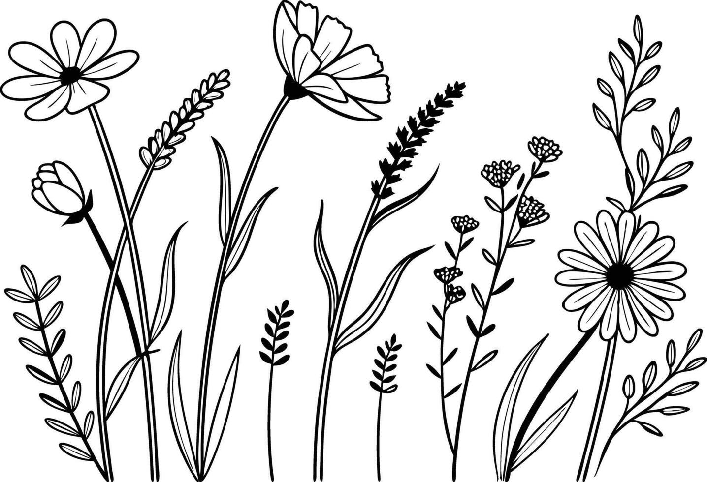 Hand Drawn Wildflower Line Art for Crafts vector