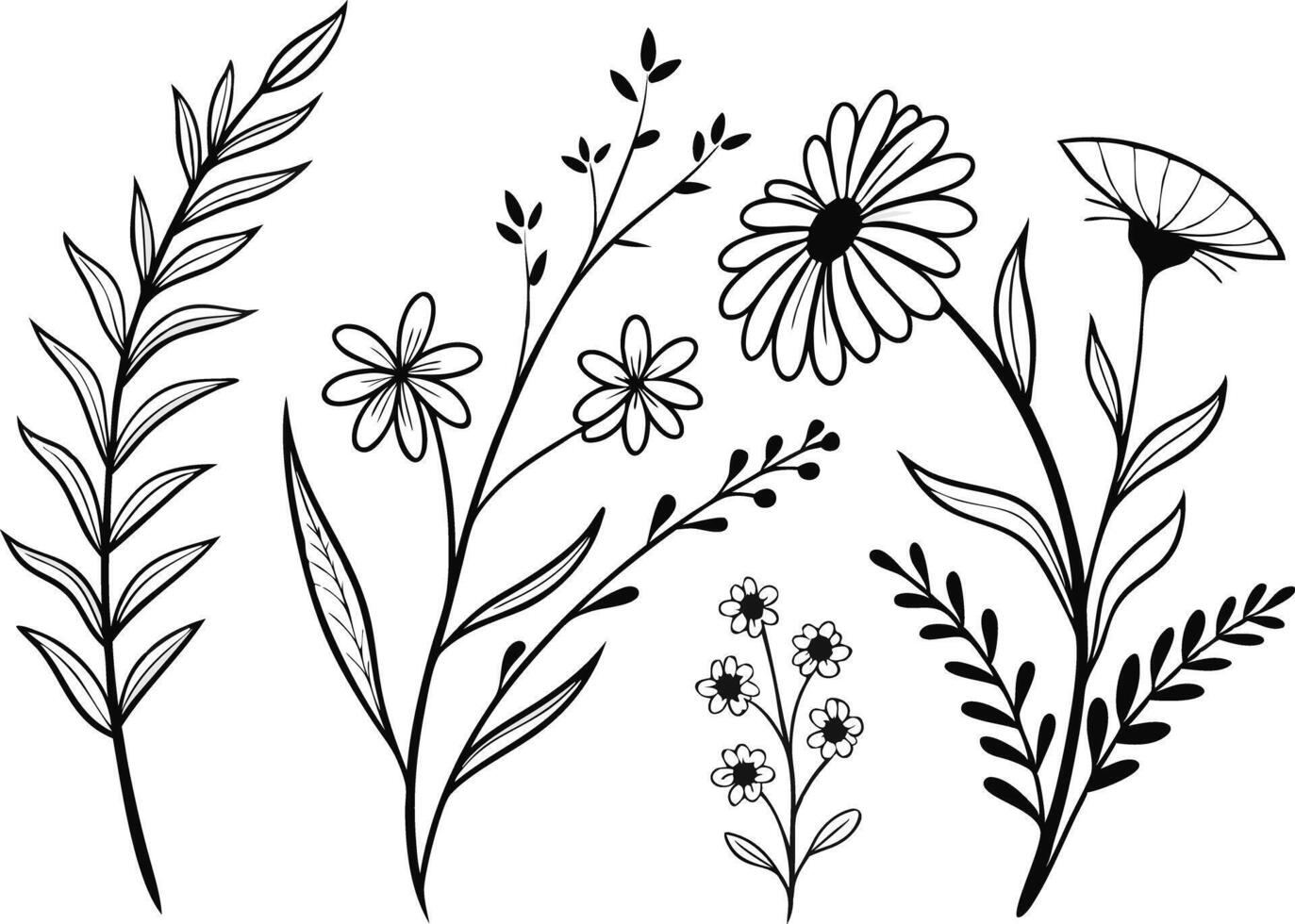 Hand Drawn Boho Wildflower Clipart Set for Designers vector