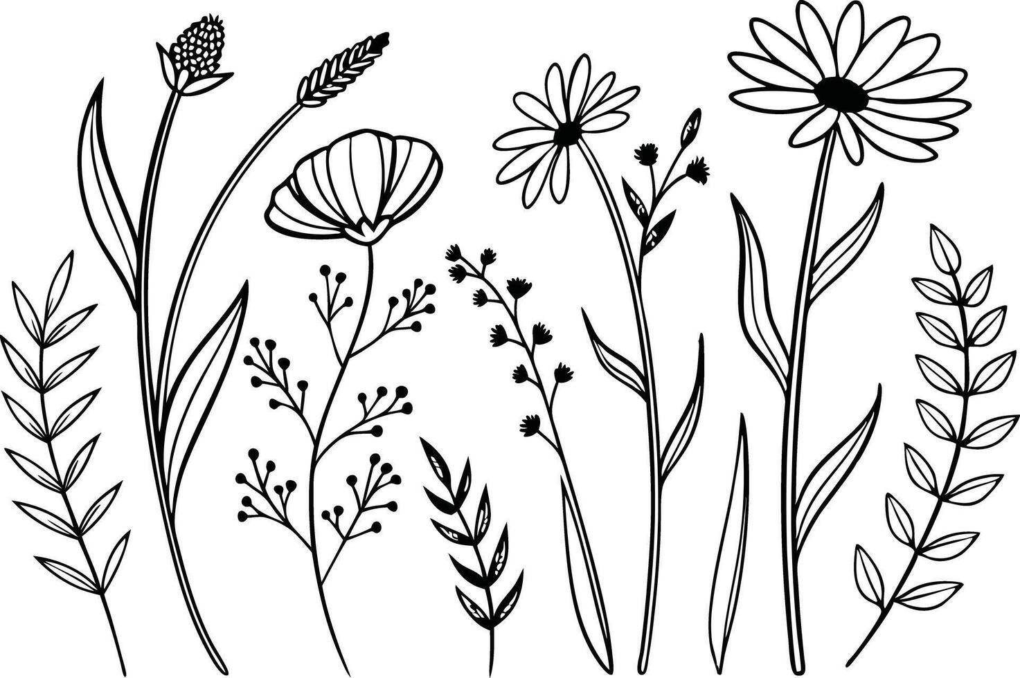 Elegant Boho Wildflower Clipart Set for Printable vector