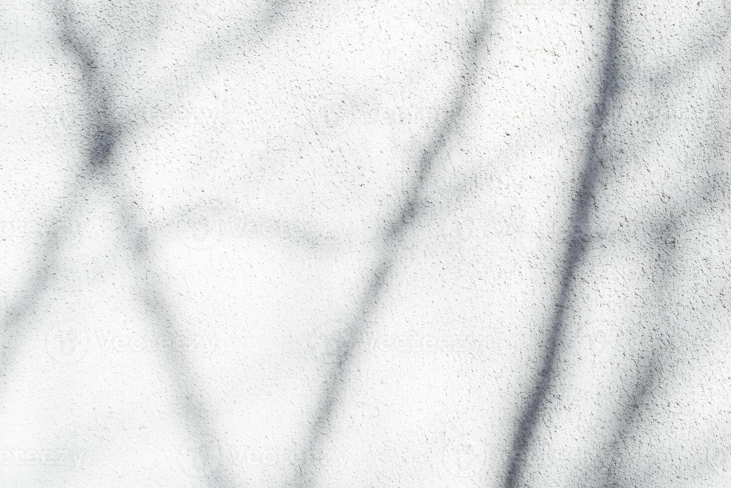 Shade of tree on light wall outside. Texture background, copy space. Abstract natural shadows on sunny day. photo