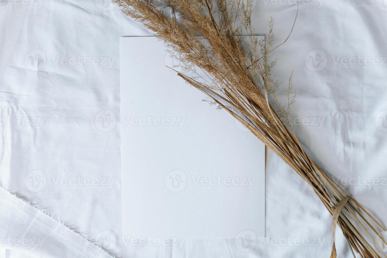 Bouquet dry field spikelets and white sheet of watercolor paper lying on white cloth. Flat lay, copy space. Layout with place for text. photo