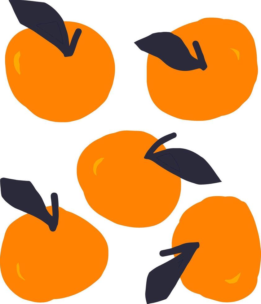 Group of oranges and leaves illustration modern arts vector