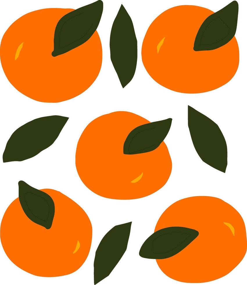 Group of oranges and leaves illustration modern art vector