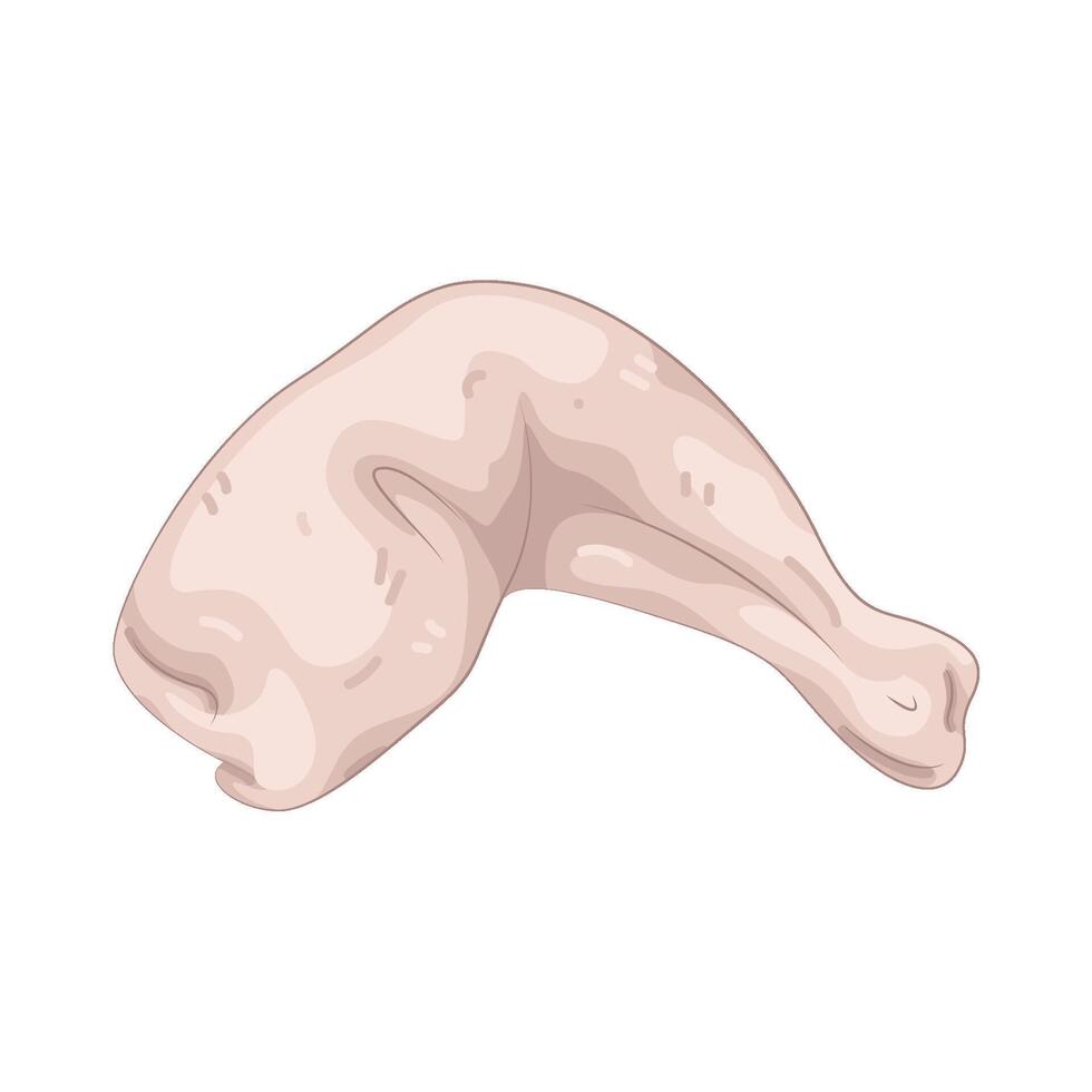 Illustration of Chicken leg and thigh vector