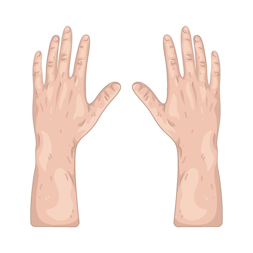 Illustration of Hand vector