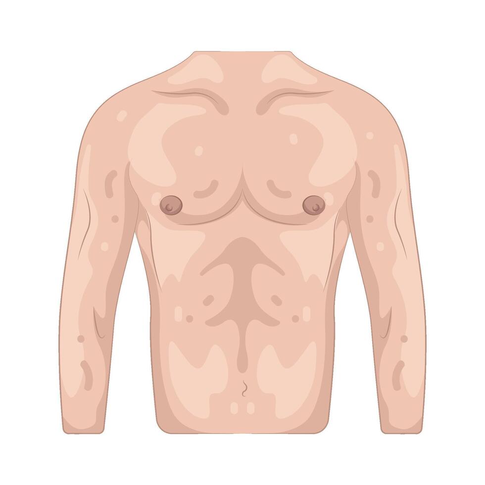 Illustration of Torso vector