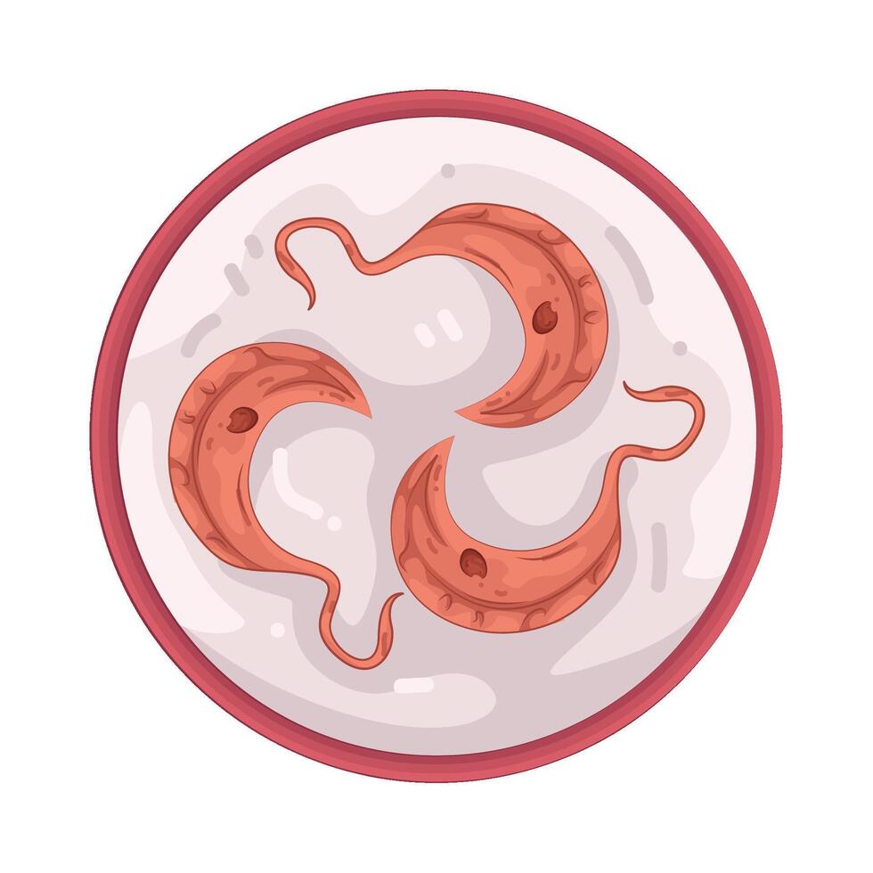 Illustration of pathogen vector